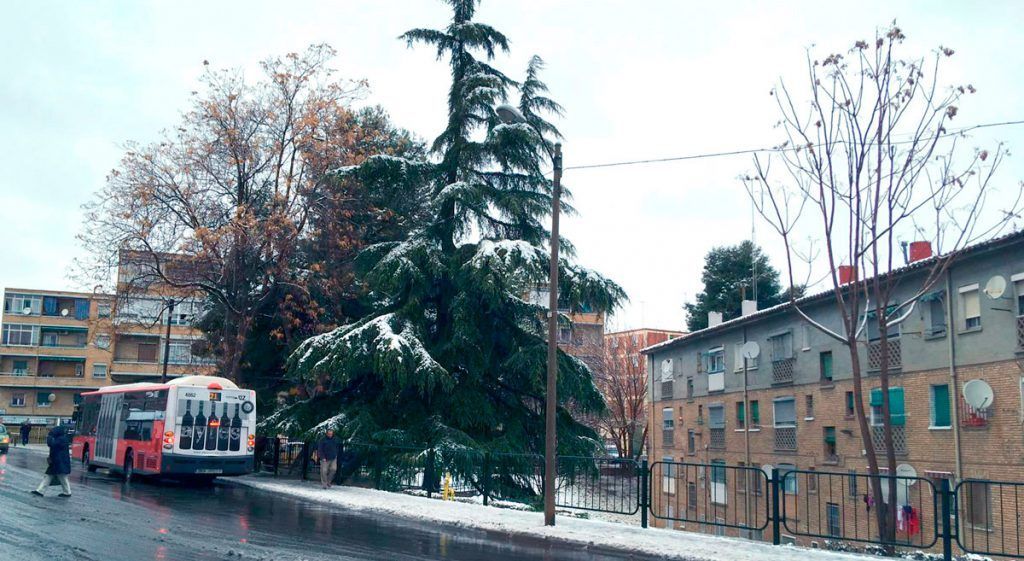 Nieve en Oliver